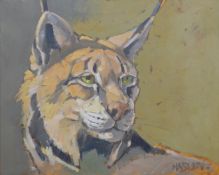 HASLEN, ANDREW (born 1951) British (AR), Lynx, acrylic on canvas, signed. 41 cm x 50 cm.