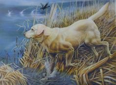 DRISCOLL, BARRINGTON LIONEL 'BARRY' (192