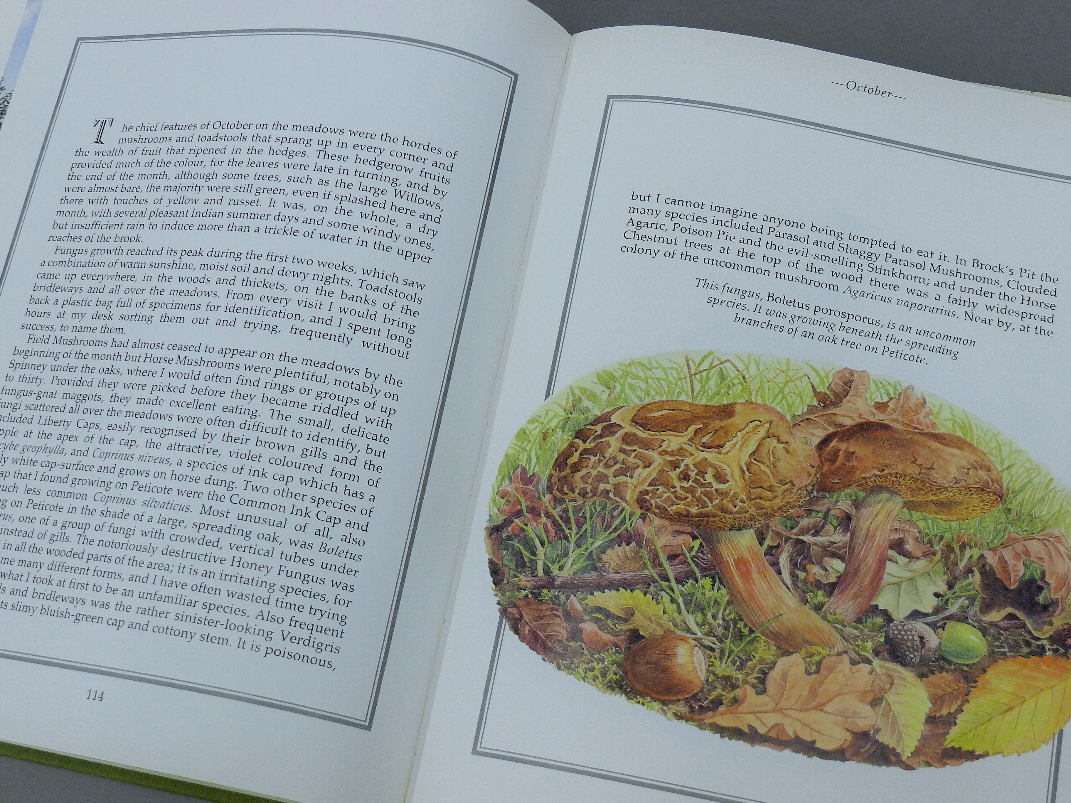 PERKINS, BEN, A Secret Landscape, Diary - Image 7 of 8