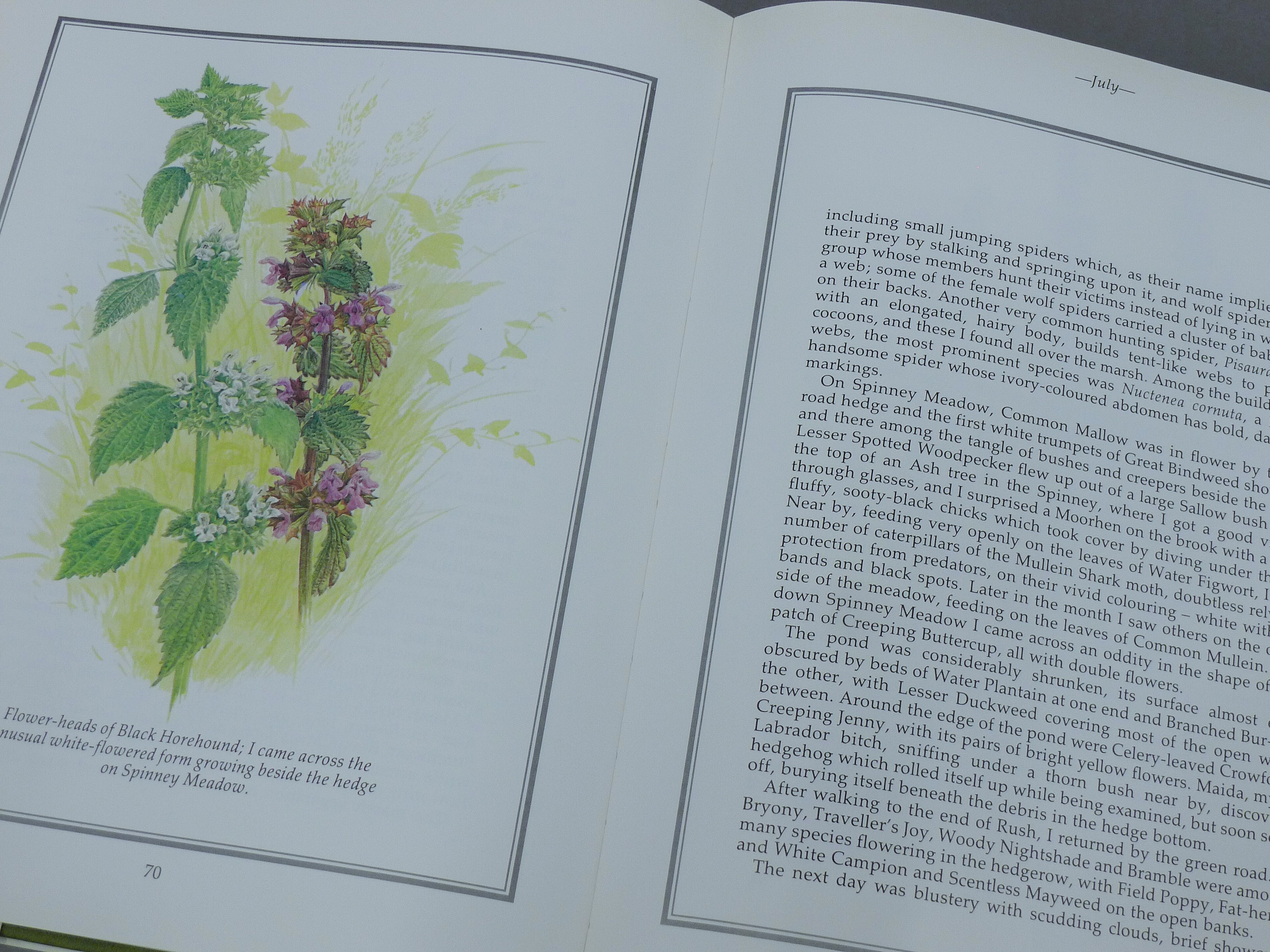 PERKINS, BEN, A Secret Landscape, Diary - Image 7 of 7
