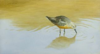 DILLON, NICHOLAS (born 1966) New Zealand