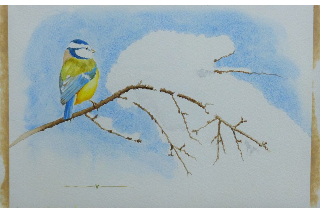 HAMPTON, MICHAEL (born 1937) British (AR), Blue Tit, watercolour. 18 cm x 26 cm. - Image 2 of 2