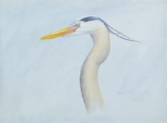 DILLON, NICHOLAS (born 1966) New Zealand