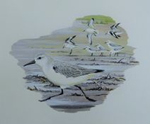 BURN, HILARY (born 1946) British (AR), S