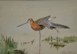 GREEN, ROLAND (1896-1972) British (AR), Bar-Tailed Godwit, watercolour, signed, framed and glazed.