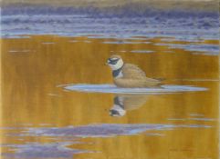 DILLON, NICHOLAS (born 1966) New Zealand