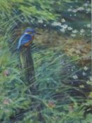 PARTINGTON SWLA, PETER (born 1941) British (AR), Kingfisher, watercolour, signed, framed and glazed.
