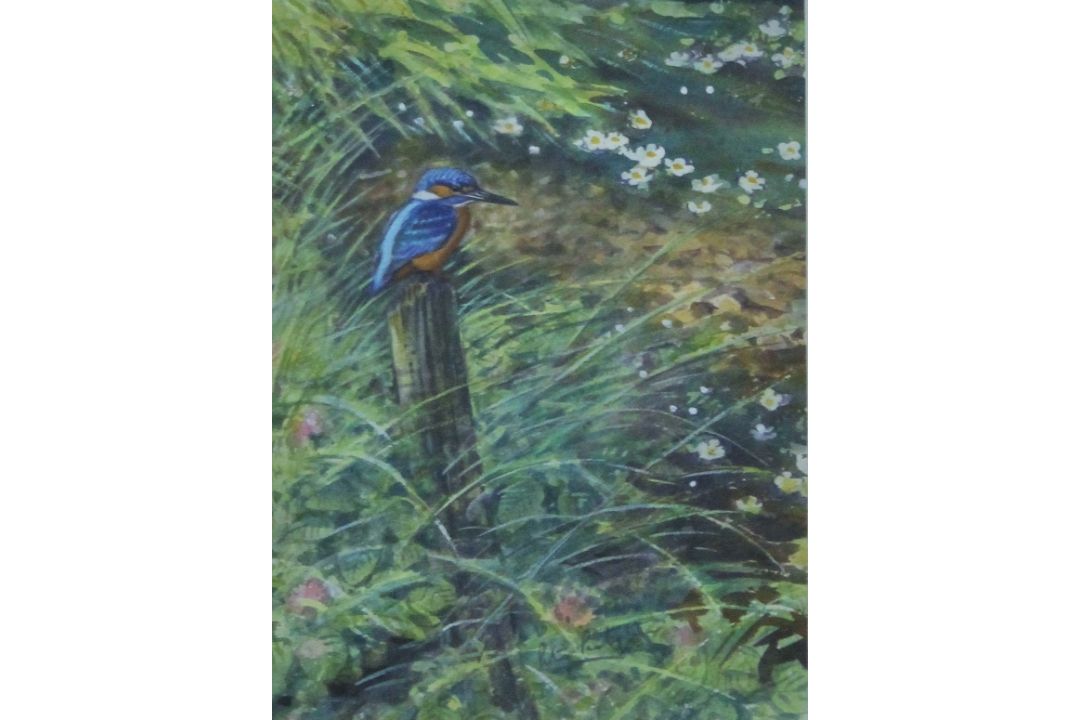 PARTINGTON SWLA, PETER (born 1941) British (AR), Kingfisher, watercolour, signed, framed and glazed. - Image 1 of 3