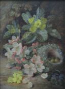 CLARE, VINCENT (1855-1930) British, Primroses and Birds Nest, oil on canvas, framed. 29 cm x 21 cm.