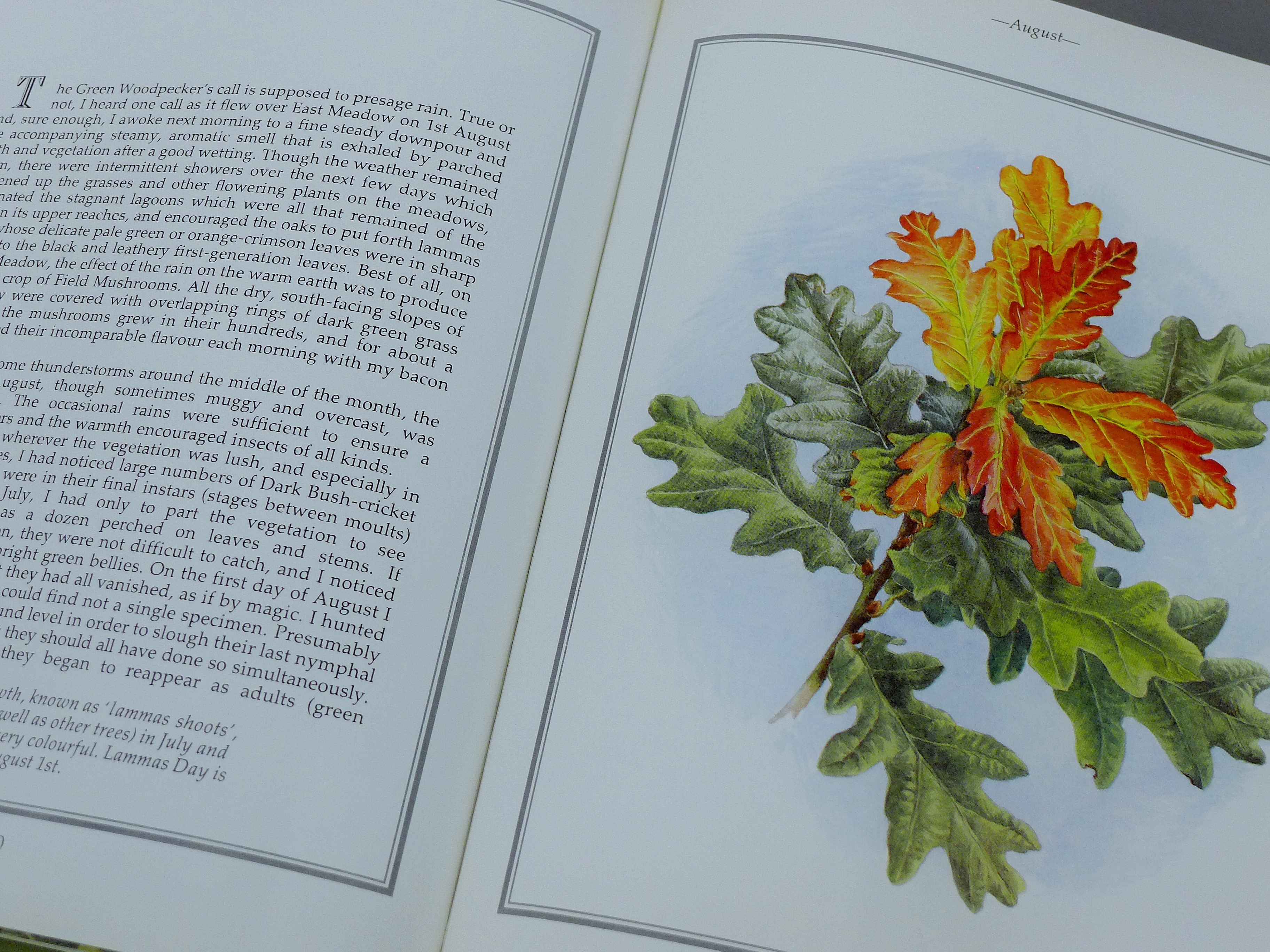 PERKINS, BEN, A Secret Landscape, Diary - Image 5 of 7