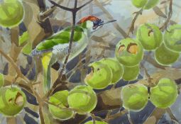 HASLEN, ANDREW (born 1951) British (AR), Green Woodpecker on Apples, watercolour, signed,