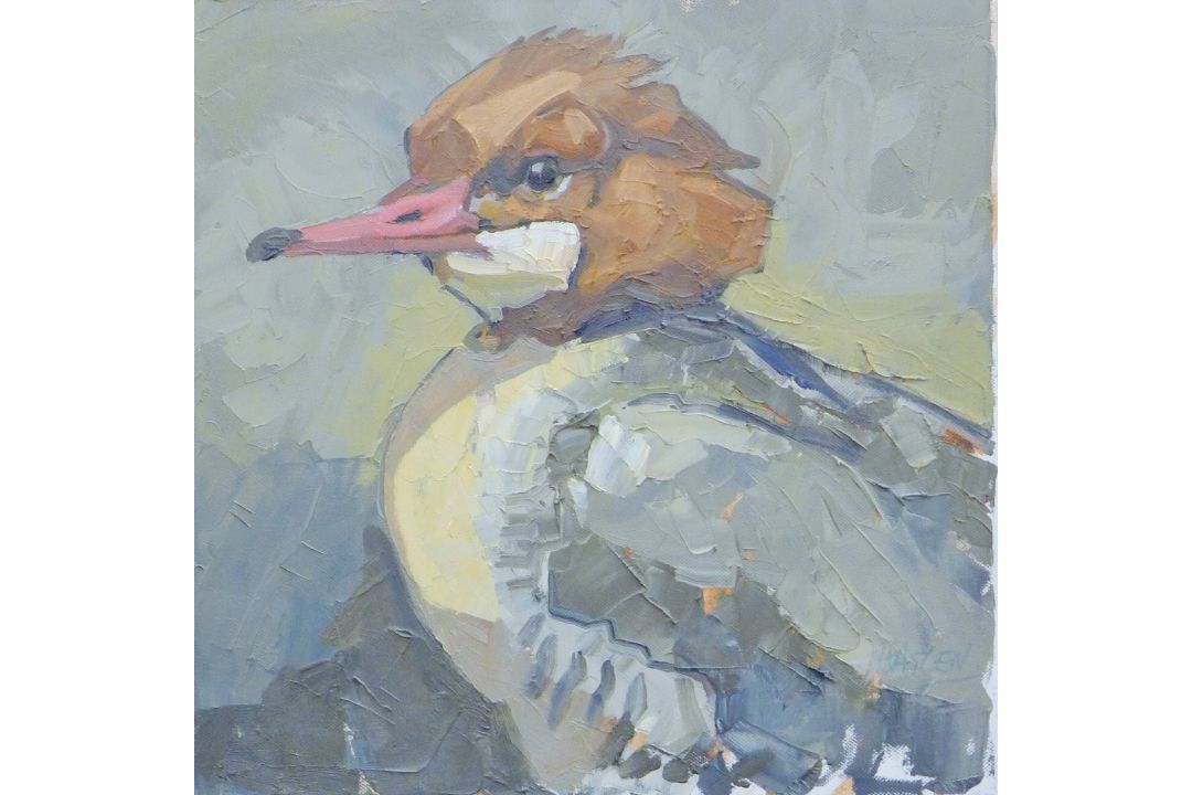 HASLEN, ANDREW (born 1951) British (AR), Merganser, acrylic on canvas, signed. 40 cm x 40 cm. - Image 1 of 2