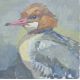 HASLEN, ANDREW (born 1951) British (AR), Merganser, acrylic on canvas, signed. 40 cm x 40 cm. - Image 1 of 2