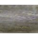 DILLON, NICHOLAS (born 1966) New Zealand, Grey Wagtail, oil on canvas, signed. 40 cm x 56 cm. - Image 2 of 2