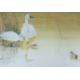 QUINN, THOMAS (born 1938) American, Millionaires Pool, a signed limited edition print, - Image 1 of 5