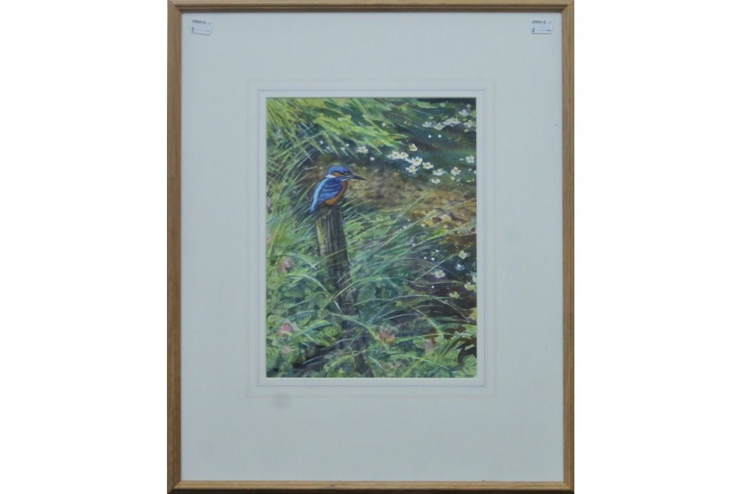 PARTINGTON SWLA, PETER (born 1941) British (AR), Kingfisher, watercolour, signed, framed and glazed. - Image 2 of 3