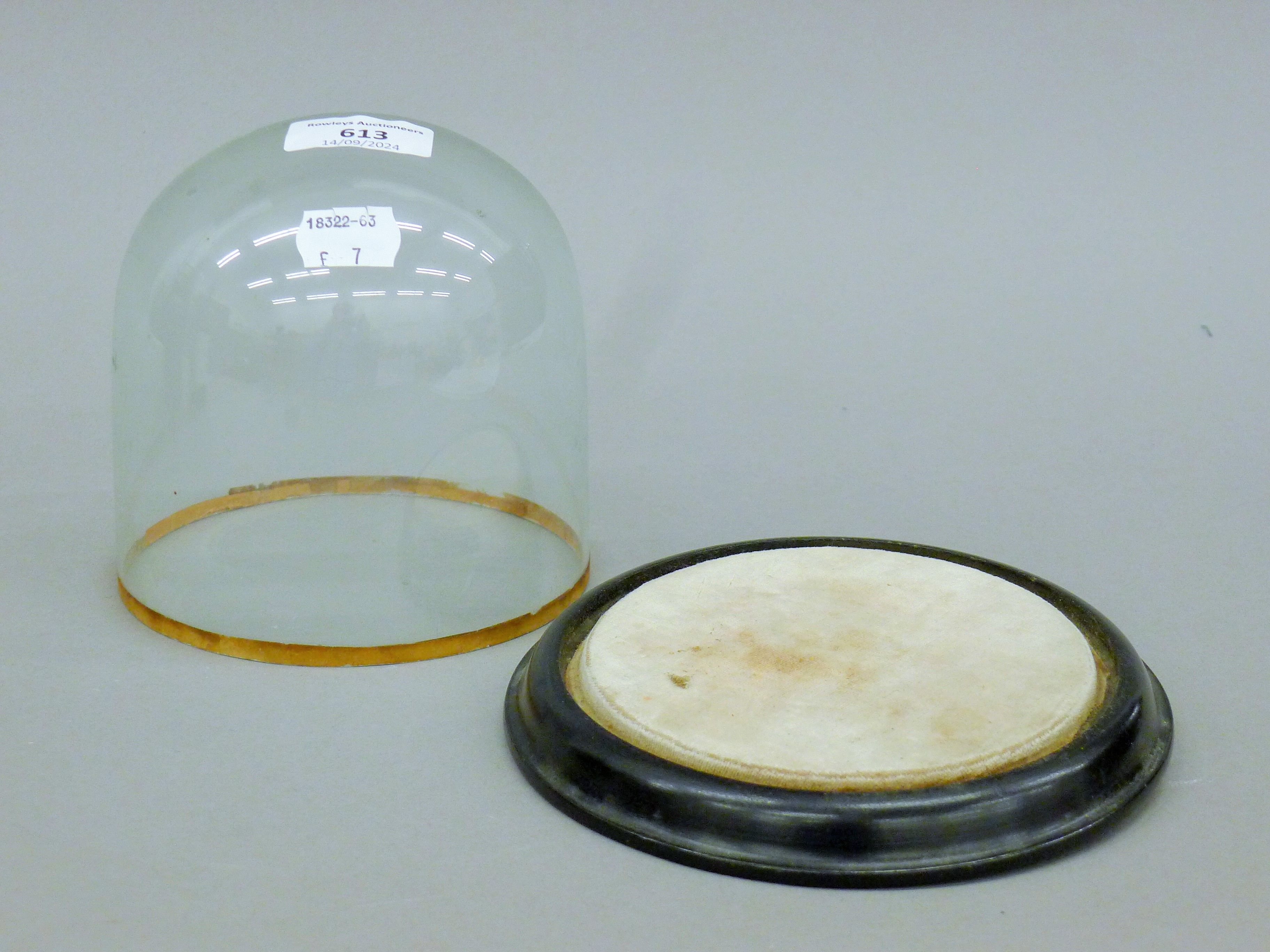 A small glass dome on an ebonised plinth base. 14.5 cm high. - Image 2 of 2