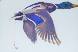 HASLEN, ANDREW (born 1951) British (AR), Mallard, acrylic on card, signed. 50 x 70 cm.