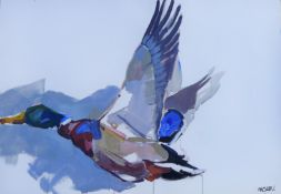 HASLEN, ANDREW (born 1951) British (AR), Mallard Drake, acrylic on card, signed. 70 x 100 cm.
