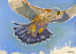 HASLEN, ANDREW (born 1951) British (AR), Kestrel, acrylic on card, signed. 50 x 70 cm.