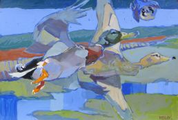 HASLEN, ANDREW (born 1951) British (AR), Tassa Closing in on Mallard, acrylic on card, signed.