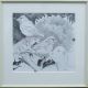 HASLEN, ANDREW (born 1951) British (AR), Greenfinches on Sunflowers, pencil, signed, - Image 2 of 3