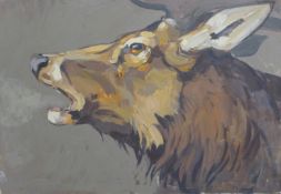 HASLEN, ANDREW (born 1951) British (AR), Stag, oil on board. 40 x 40 cm.