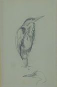 AUSTIN, WINIFRED (1876-1964) British (AR), Heron, pencil sketch. 19 x 12 cm.