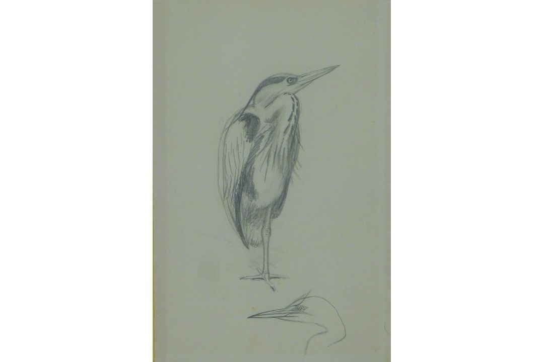 AUSTIN, WINIFRED (1876-1964) British (AR), Heron, pencil sketch. 19 x 12 cm. - Image 1 of 2