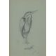 AUSTIN, WINIFRED (1876-1964) British (AR), Heron, pencil sketch. 19 x 12 cm. - Image 1 of 2