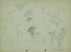 AUSTIN, WINIFRED (1876-1964) British (AR), Goats, pencil, signed. 23 x 31 cm.