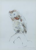 BUSBY, JOHN (1928-2015) British (AR), Algerian Marsh Owl, signed and dated 1968,