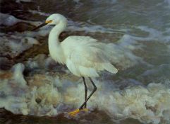 BRENDERS, CARL (born 1937) Belgian (AR), Island Shores - Snowy Egret, limited edition lithograph,