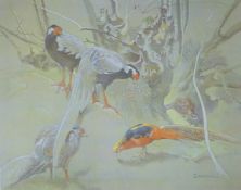ENNION, ERIC (1900-1981) British (AR), Silver and Golden Pheasants, limited edition print,