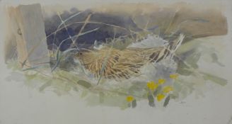 HASLEN, ANDREW (born 1951) British (AR), Woodcock, initialled. 26 x 54 cm.