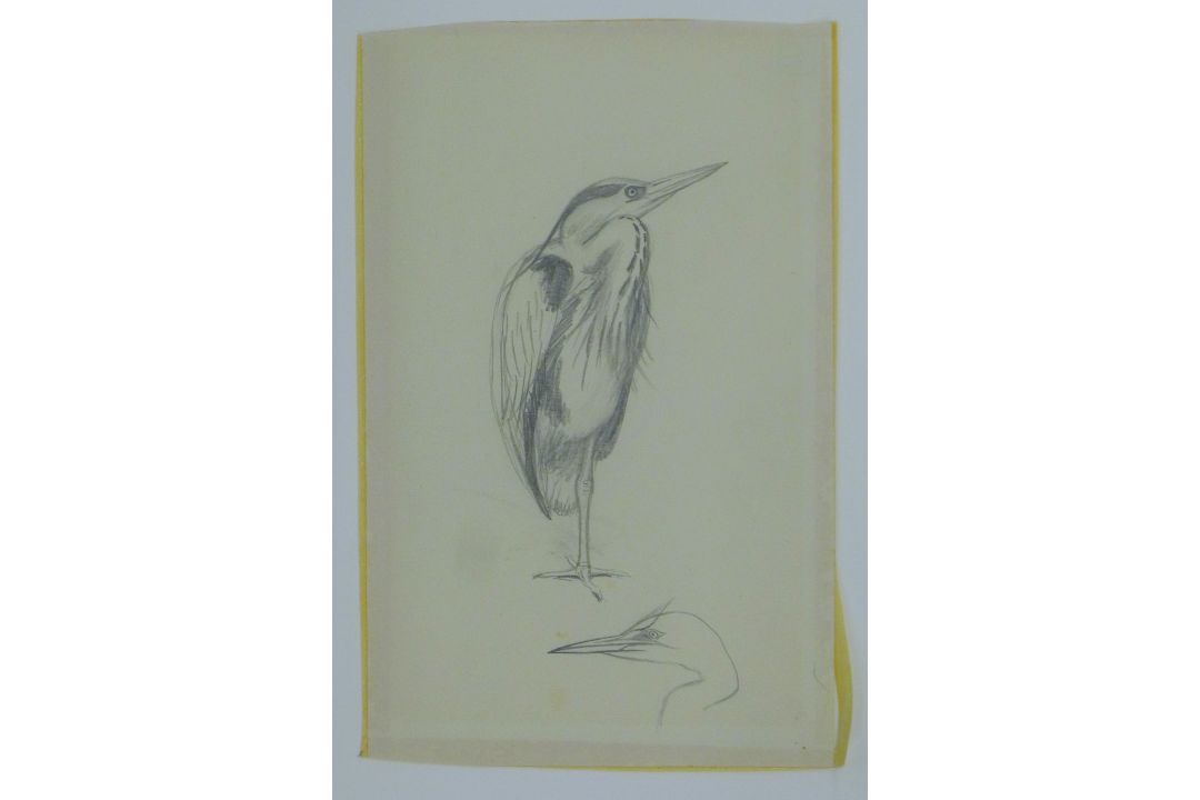AUSTIN, WINIFRED (1876-1964) British (AR), Heron, pencil sketch. 19 x 12 cm. - Image 2 of 2