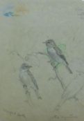 AUSTIN, WINIFRED (1876-1964) British (AR), Spotted Flycatcher, pencil, signed. 25 x 17 cm.