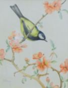 HOPKING, NOEL HUBERT (1883-1964) British (AR), Great Tit on Japonica, watercolour, signed,