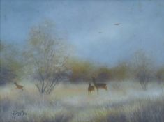 CONTINENTAL SCHOOL, Roe Deer in Wooded Glade, oil on board, indistinctly signed, framed. 17 x 23 cm.