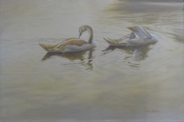 DILLON, NICOLAS (born 1966) New Zealand (AR), Swans, acrylic on canvas, signed and dated 1990.