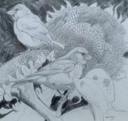 HASLEN, ANDREW (born 1951) British (AR), Greenfinches on Sunflowers, pencil, signed,