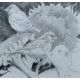 HASLEN, ANDREW (born 1951) British (AR), Greenfinches on Sunflowers, pencil, signed, - Image 1 of 3