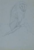 AUSTIN, WINIFRED (1876-1964) British (AR), Barn Owl, pencil. 36 x 26 cm.