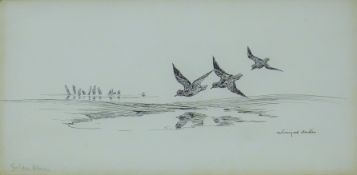 AUSTIN, WINIFRED (1876-1964) British (AR), Golden Plover, ink, signed. 13 x 27 cm.