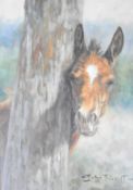 John Trickett (born 1953) oil on canvas of a horse foal peeping round a tree 'Peek-a-Boo', signed