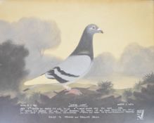 Leighton Studios Maesteg watercolour study of a racing pigeon 'Game Lady', dated Oct 1954 lower