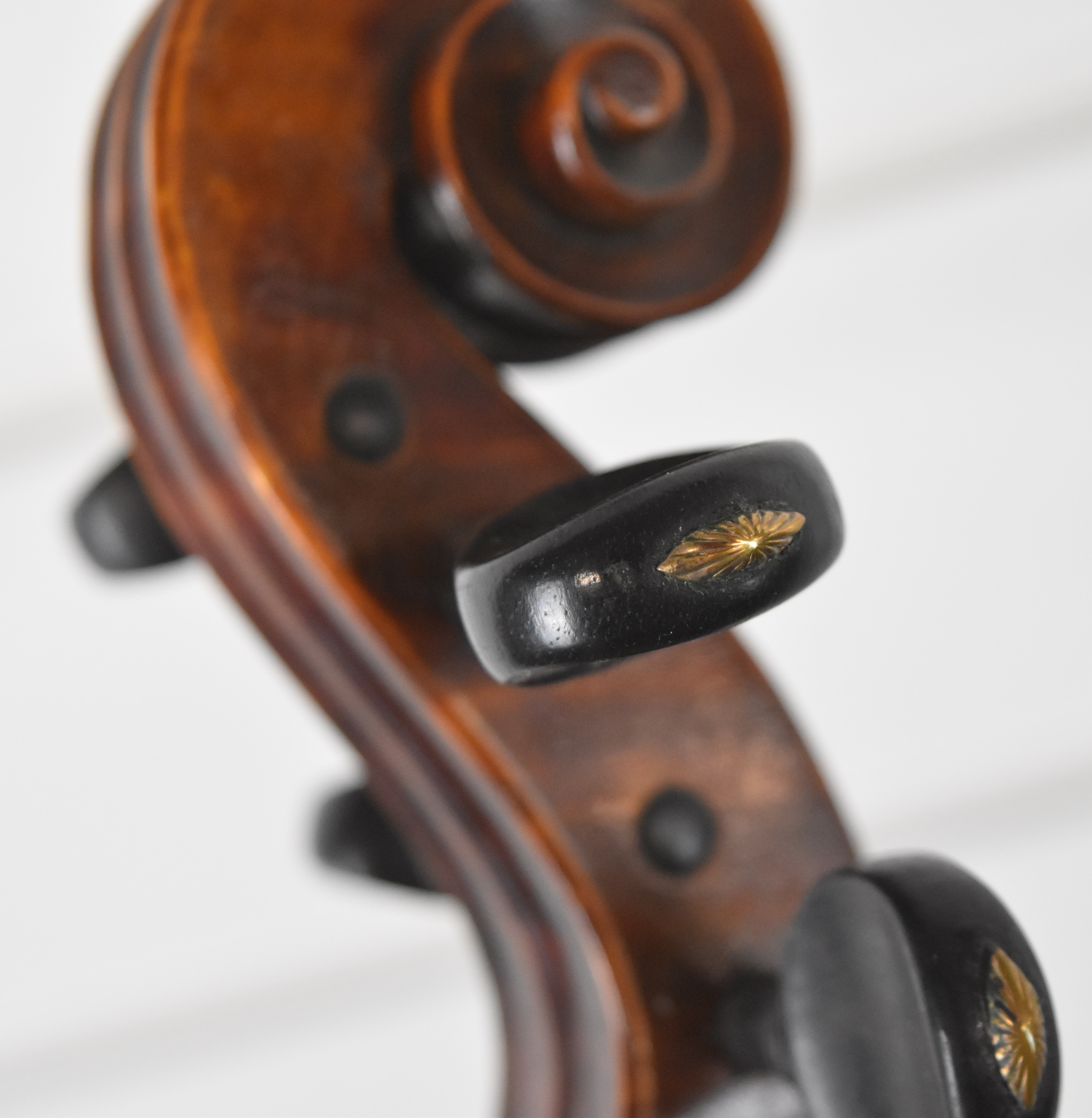 1924 Aeona violin labelled 'Koch & Sterzel A.=G. Dresden 1924 Aeona #I/524 nach Prof F J Koch W Z - Image 15 of 25