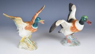 Beswick figures of mallard and shelduck in flight, model numbers 995 and 749, tallest 17cm