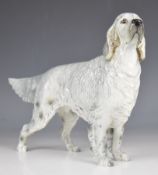 Beswick large model of an English Setter, model 1220, height 20cm