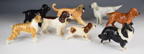 Eight larger Beswick dog figures, mostly working breeds including Springer and Cocker spaniels,